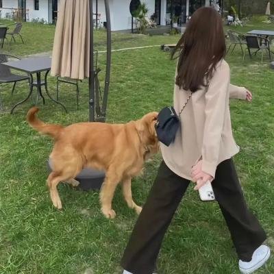蓝领一生