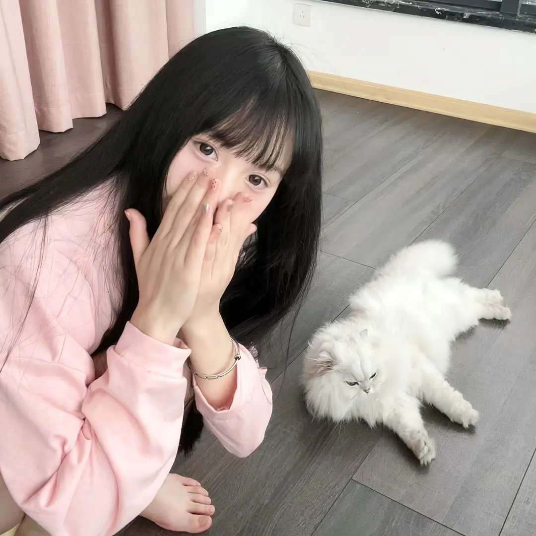 导演先生的完美假期